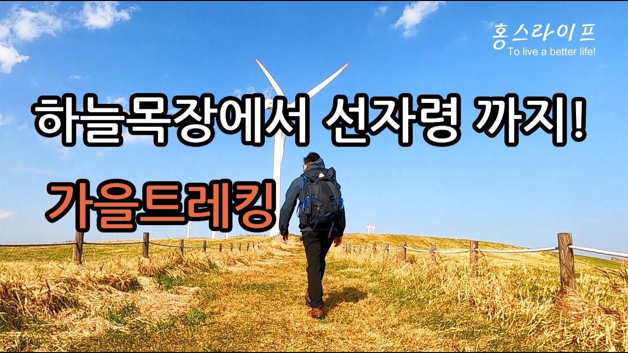가을에 찾아간 하늘목장 그리고 선자령 ㅣ선자령 트레킹