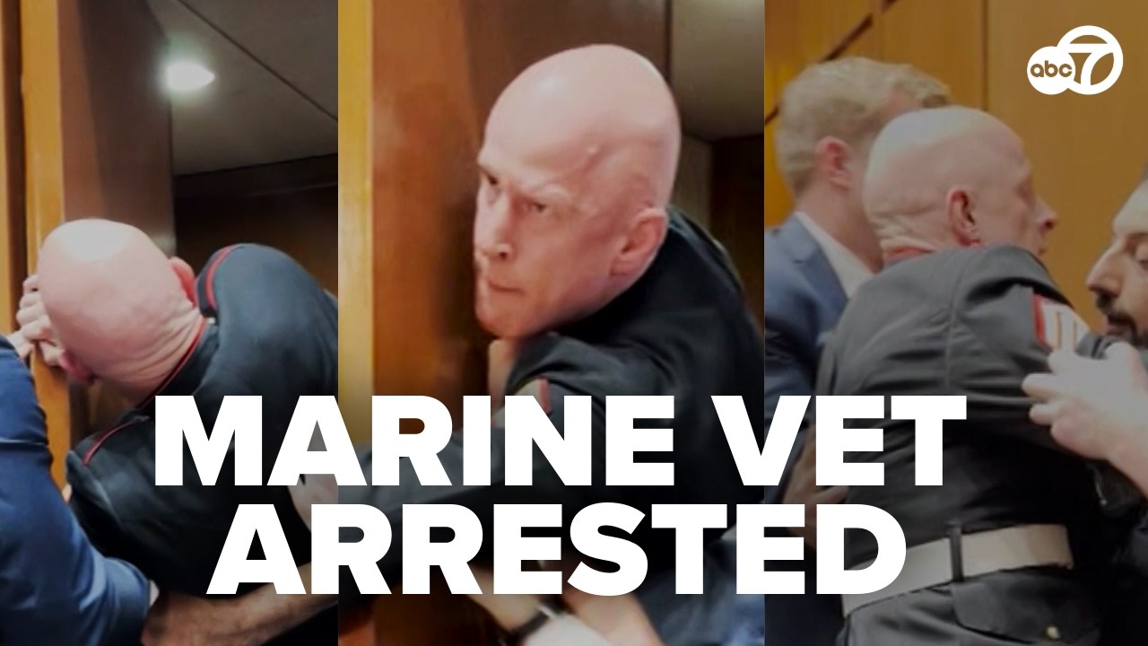 &lsquo;No one wants to fight for Israel!&rsquo; US Marine veteran dragged out of Senate hearing