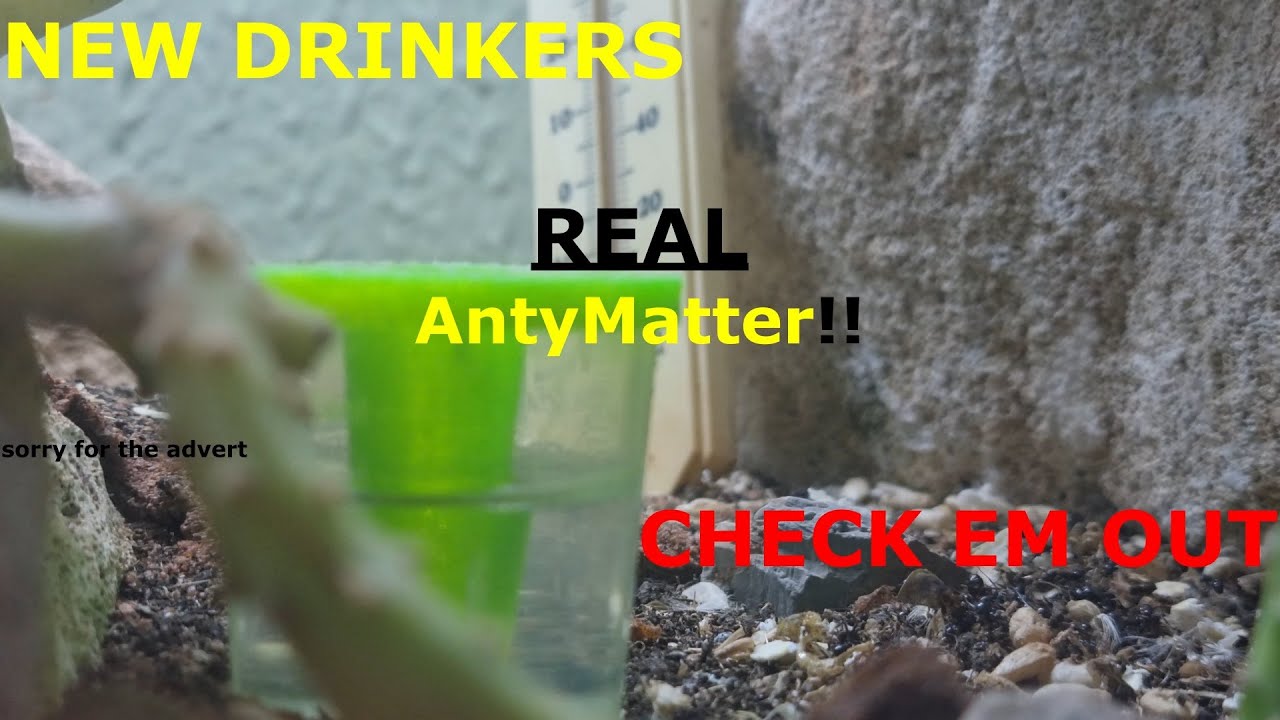 ANTY MATTER - Check out my new drinkers 😀 - Overveiw