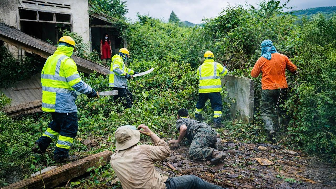 Time-Lapse: Clearing an Abandoned House Overrun by Vines — A Strange Figure Appears 😱