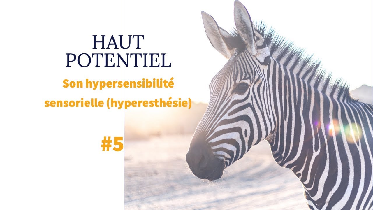 L'individu à Haut Potentiel #5 : Son hypersensibilité sensorielle (hyperesthésie)
