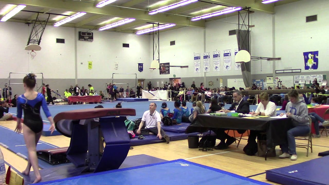 MD Level 4 State Meet Session 6 Vault 6