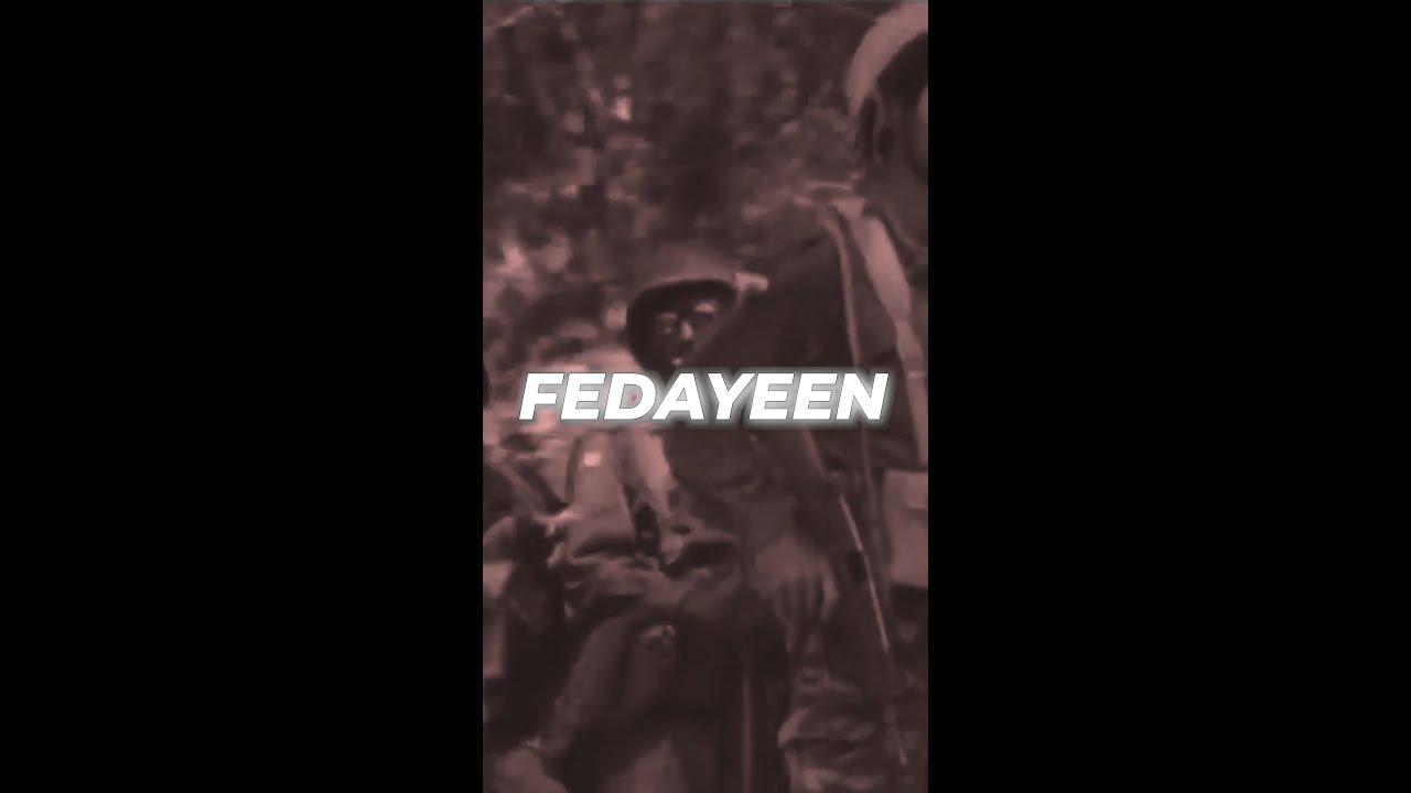 Fedayeen, and the Logic Behind Israel&rsquo;s Strikes