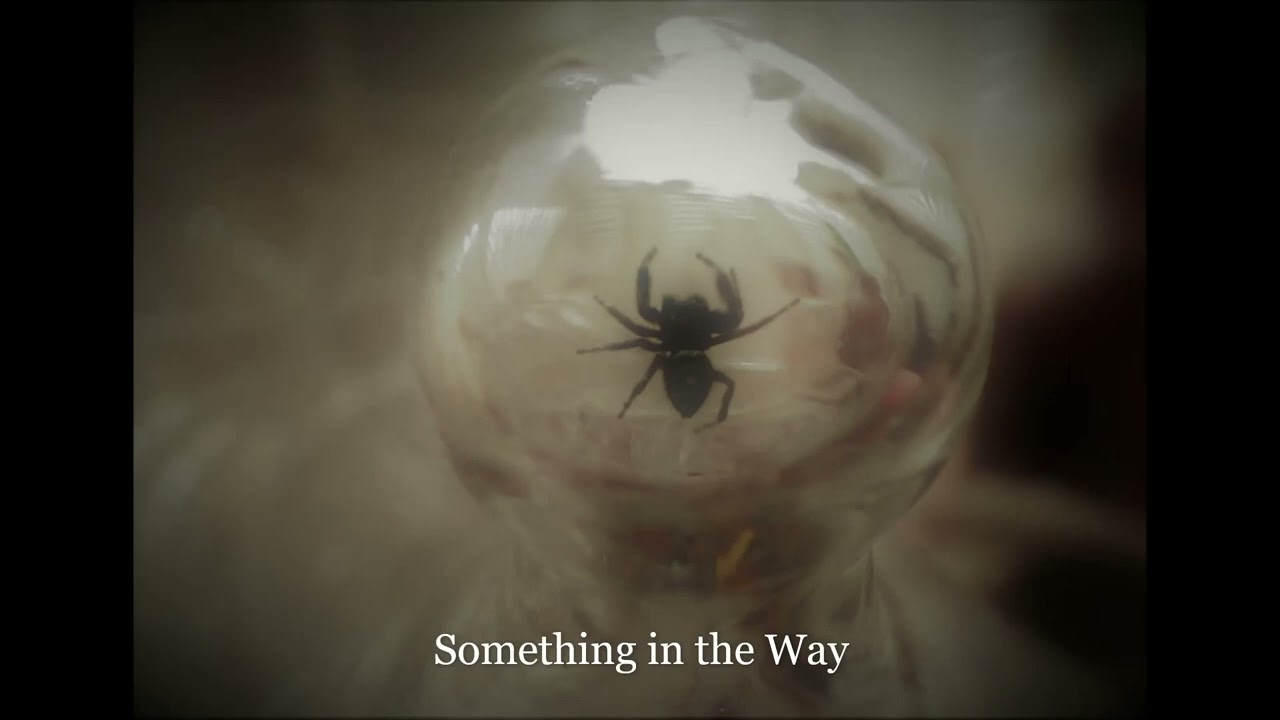 Something in the Way | James Lassiter