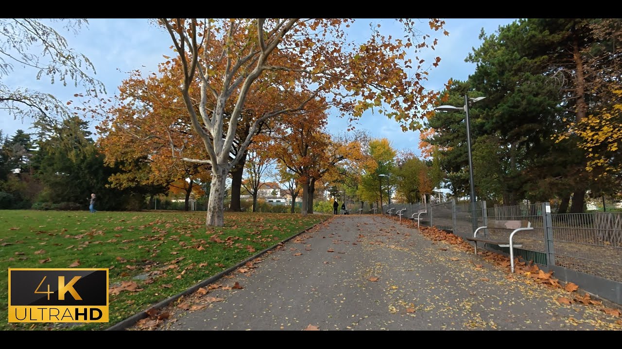 POV - Random Viena | Autumn Walk in 4K HDR