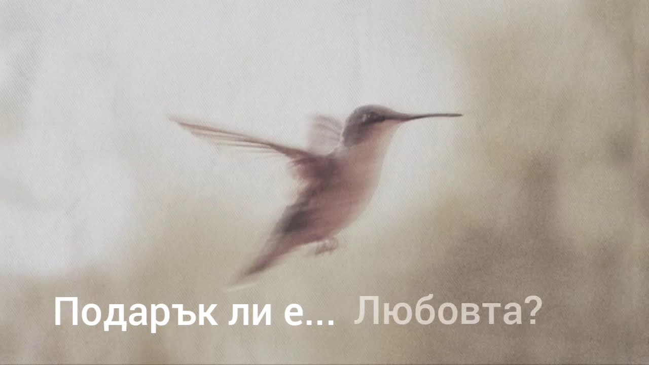 Tony Anderson -Tenderness (Bulgarian Poetry by D.R.)