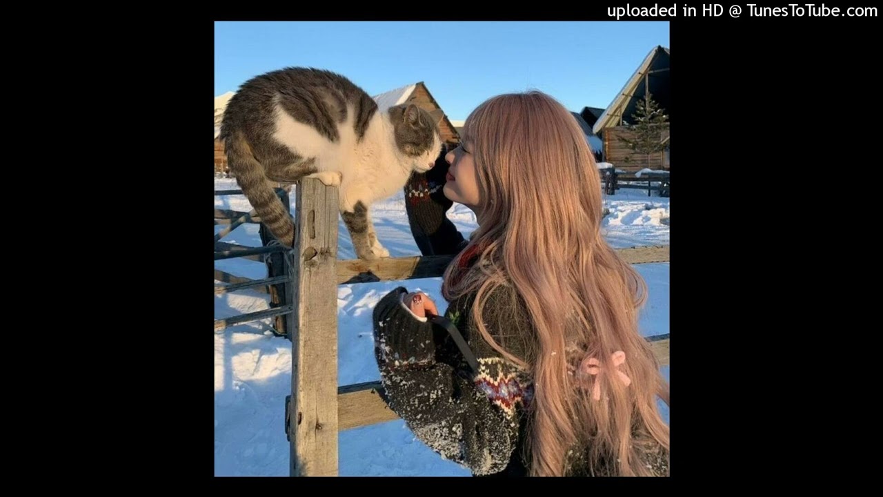 milanezie x cashcache x jaydes type beat - 