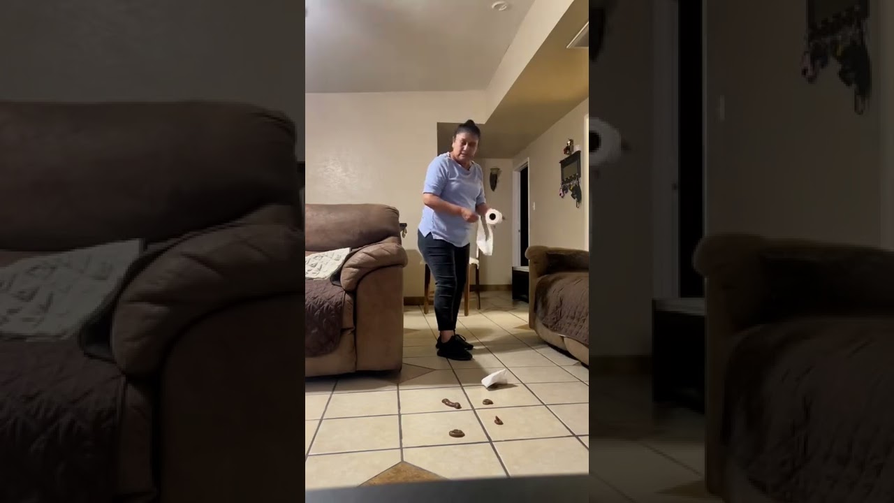 Pranking Mexican mom with Fake poop - Miguel Renovato