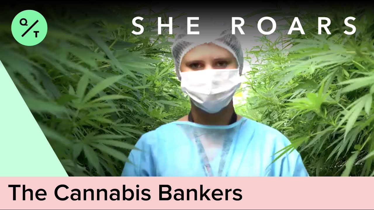 Banking on Colorado's Cannabis Cash | She Roars