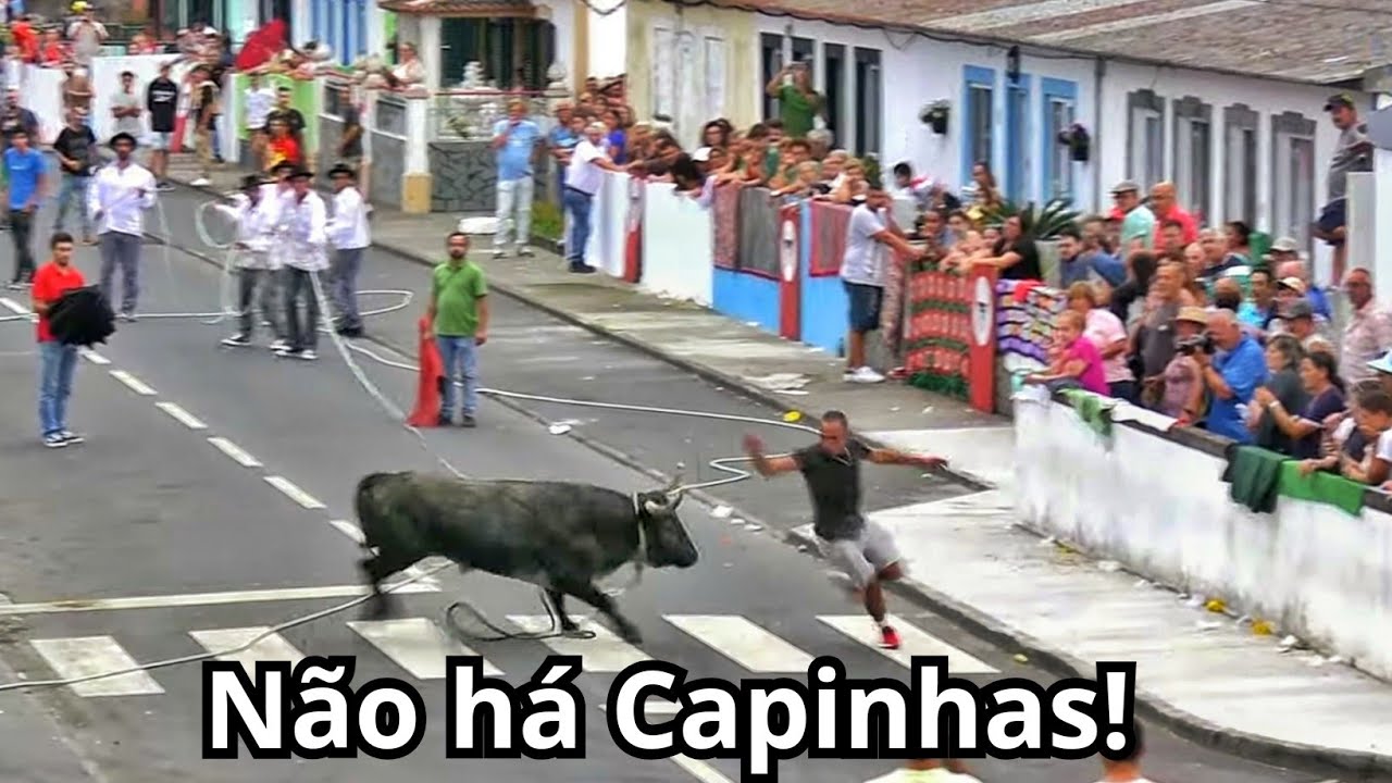 Bullfighting Highlights - Tourada à Corda na Terra Chã  2024