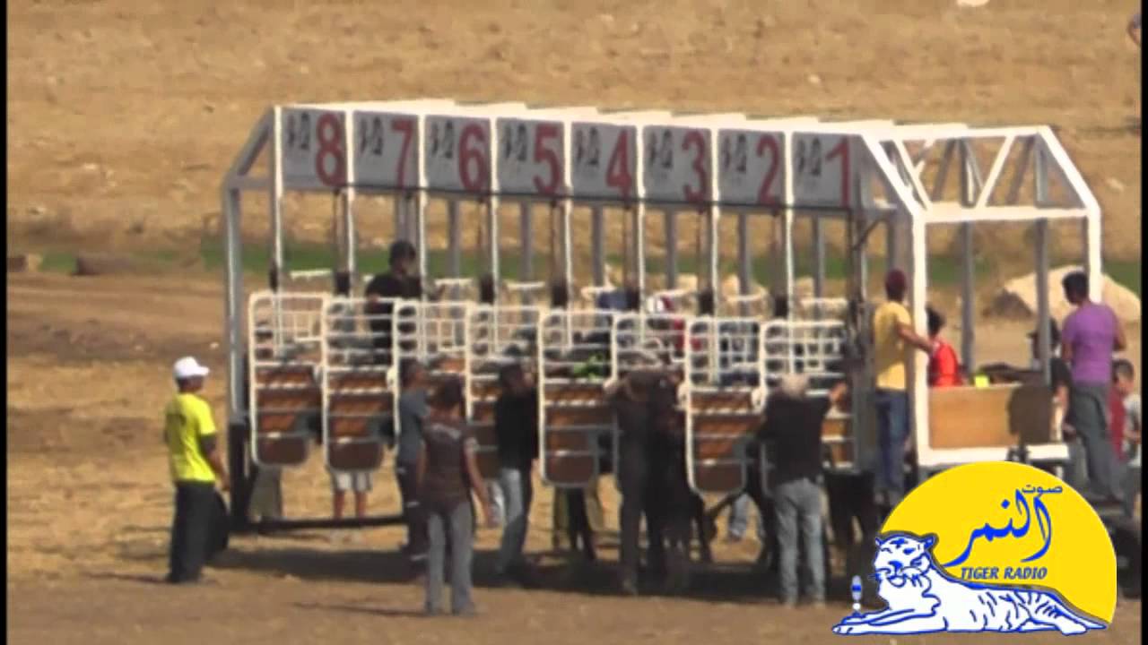 سباق الغريفات الاول للخيول العربية  لعام 22.6.2012