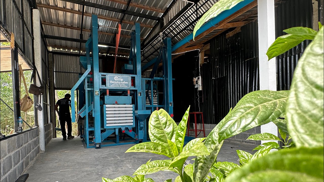 โรงสีข้าว อาตี๋ ทีค จังหวัดสุรินทร์