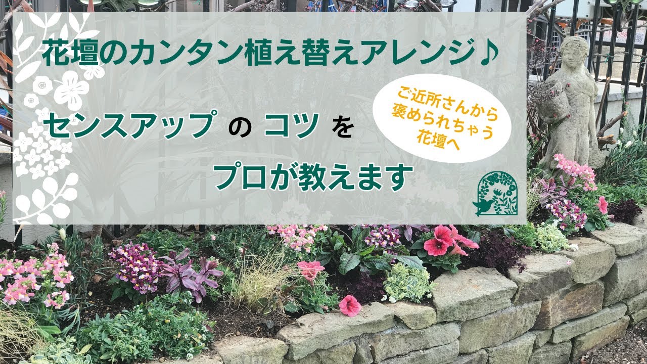 花壇のカンタン植え替えアレンジ♪ご近所さんから褒められちゃう花壇へ　センスアップのコツをプロが教えます｜神奈川県湘南近くの園芸屋さん 木村植物園