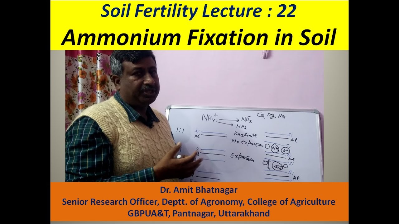 Ammonium Fixation in Soil
