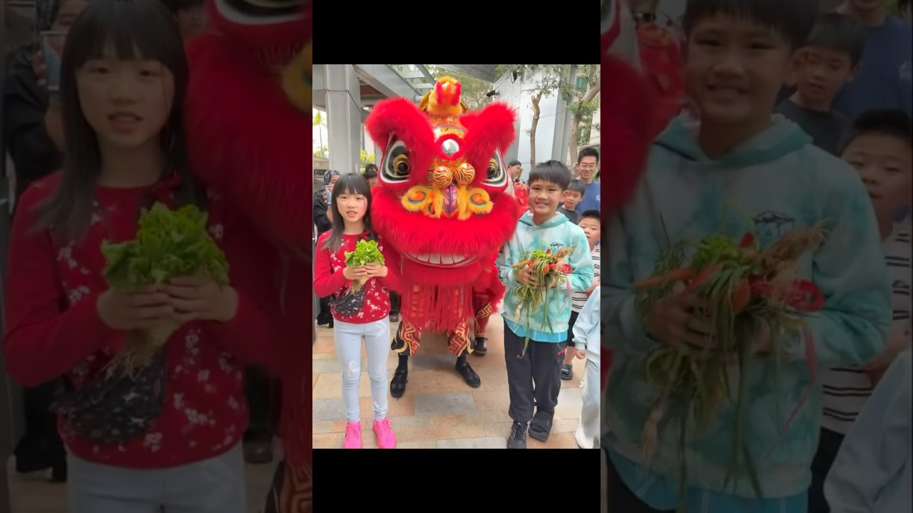 屋苑醒獅採青 Lion Fance Plucking the Greens in our housing estate_Feb 2026