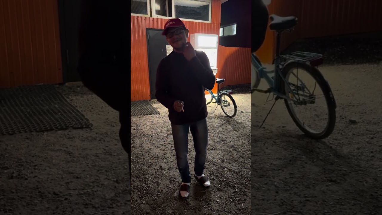 Вечерние рассказы от Профессора / ГАРДЕЙ И ИВАНЫЧ #волгоград #телеграм #топ #кино #прикол #artist 