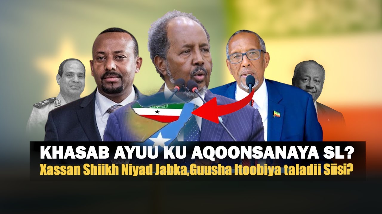 Xog Fashilka Xasan shiikh oo ku khasban Aqoonsiga SL Iyo 3 Qodob oo Horyaal Somaliya? Taladii Masar?