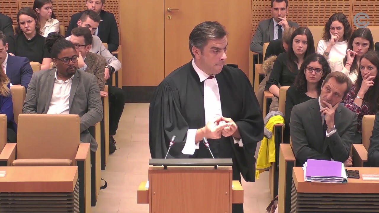 Plaidoire Maître VERDIER Avocat - Affaire n° 2019 809 QPC au Conseil Constitutionnel