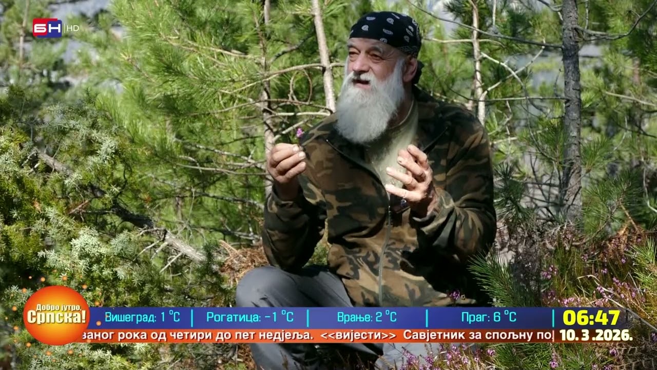 Sunčani dani izmamili su pčele da izađu iz svojih košnica u potrazi za prvim ovogodišnjim polenom