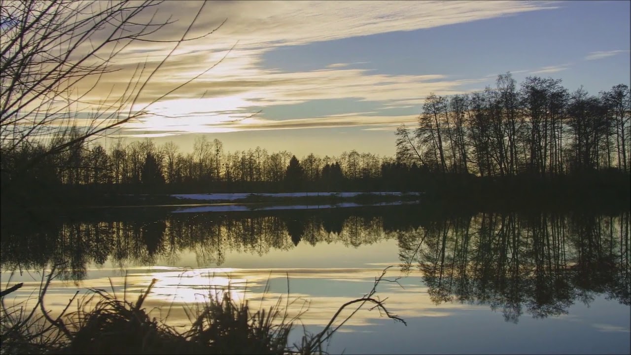 Die Stimme - RealSoul feat. FIO