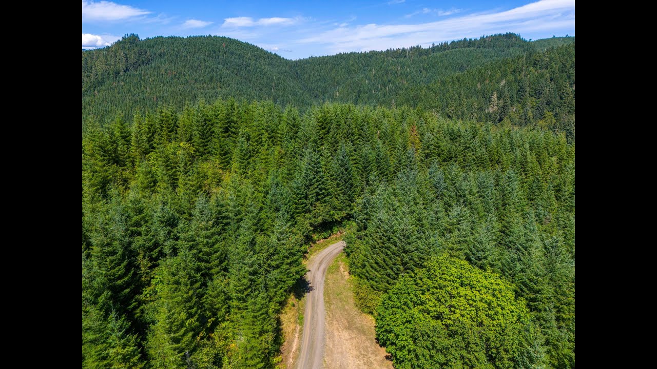 SOLD: High Pass Tree Farm - Lane County, Oregon - 150 &plusmn; Acres