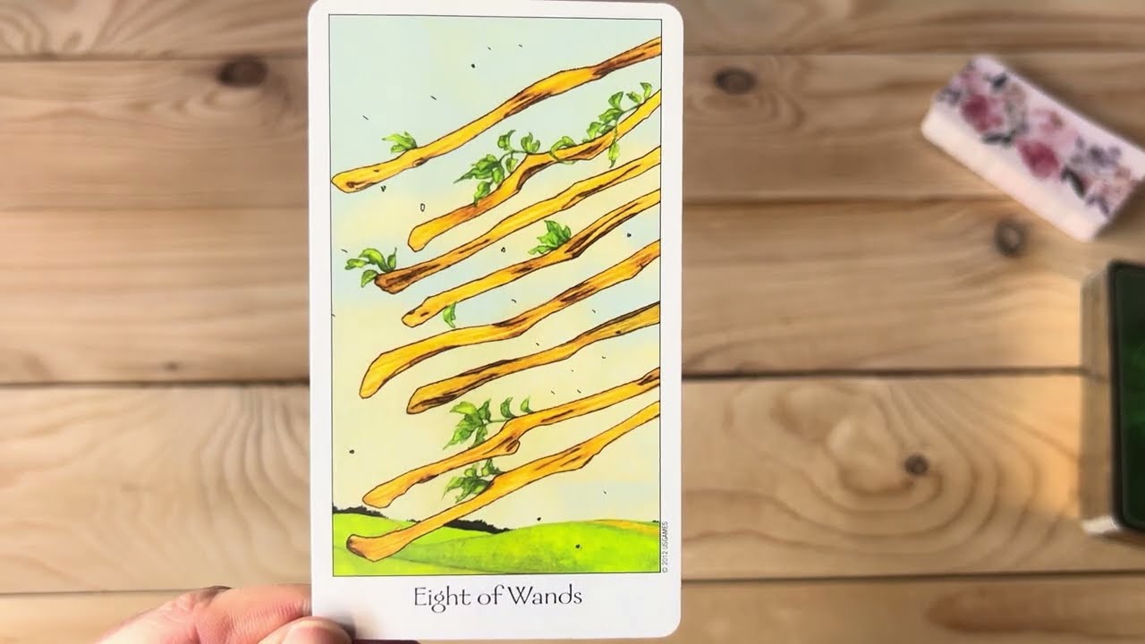 Eine besondere Seltenheit ist auf dem Weg zu dir!🔮zeitloses Orakel