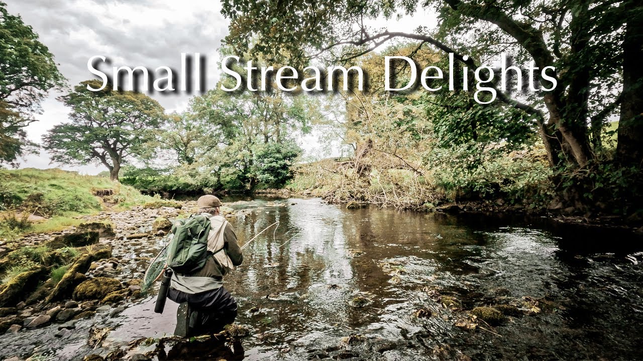 Fly Fishing - Small Stream Delights In Yorkshire