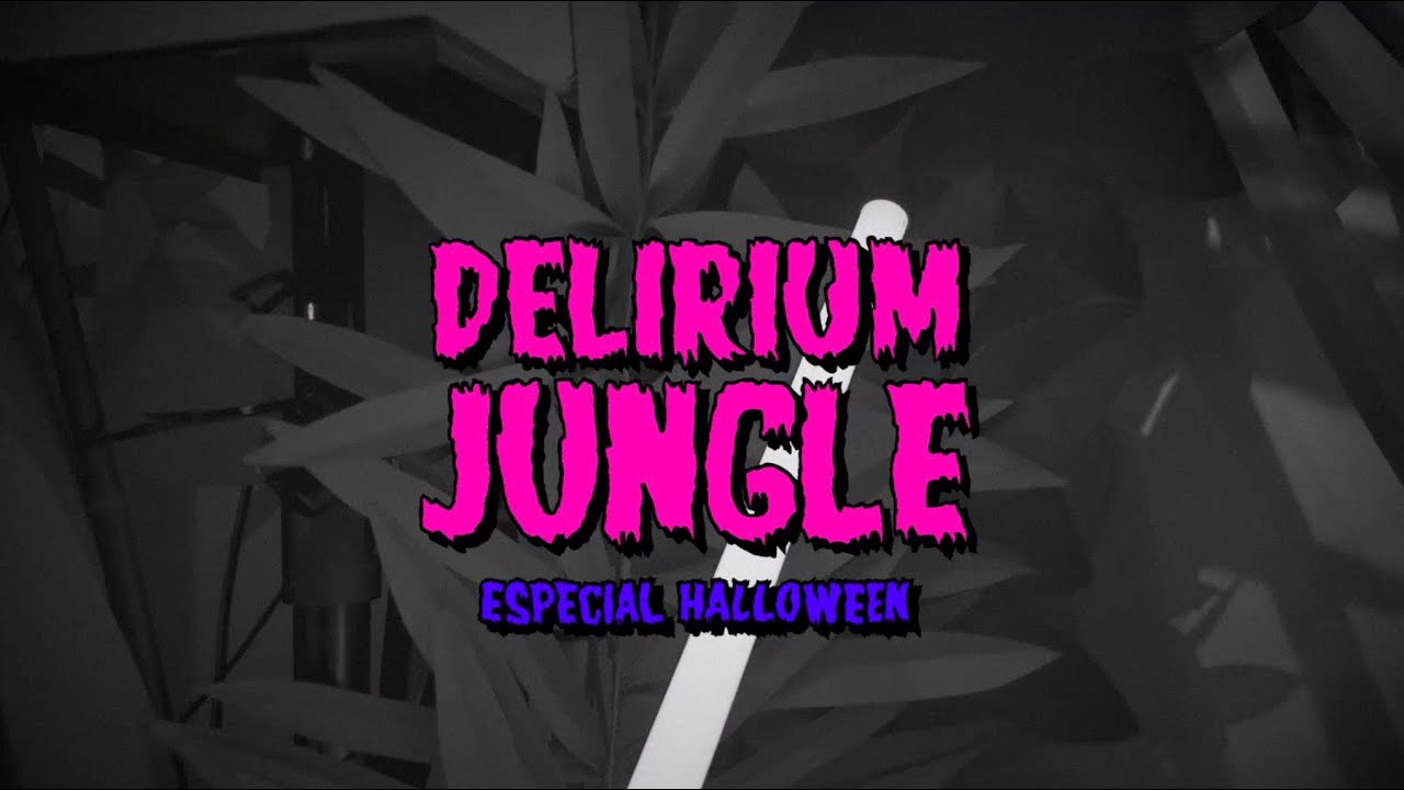 andr&eacute;sgalu&eacute; @ delirium jungle | especial halloween