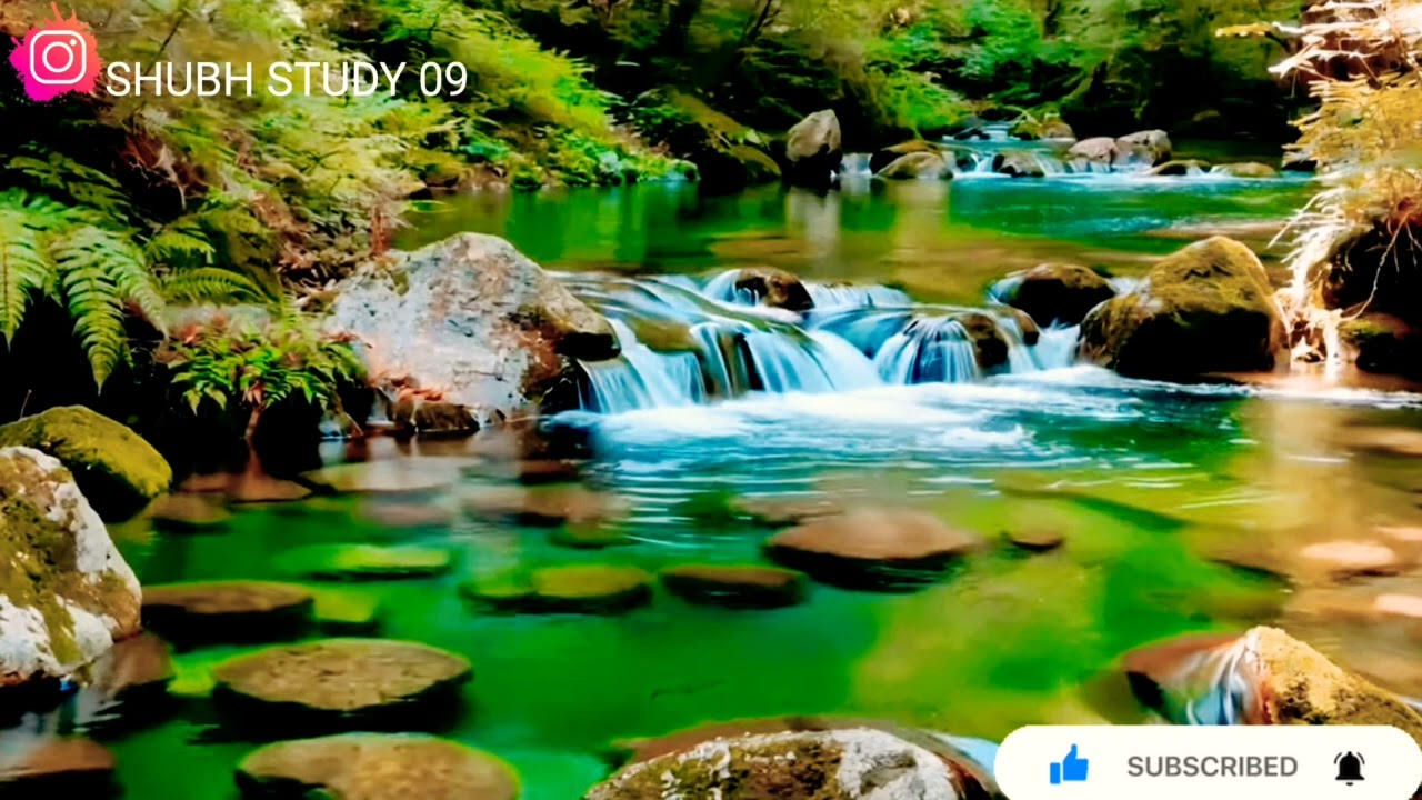 Morning study music 🎶| lofi music| Music with study | study song 🎶|#studymusic  #studymotivation 