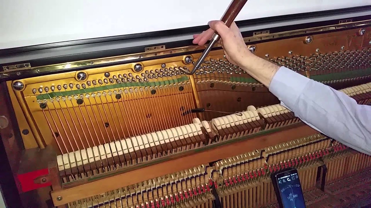 Wonderful Bechstein Model V Upright Piano - New Wrestplank, etc
