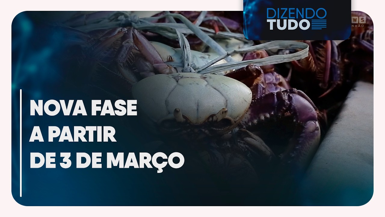 Período de defesa do caranguejo entra em intervalo e nova fase começa em março no Maranhão