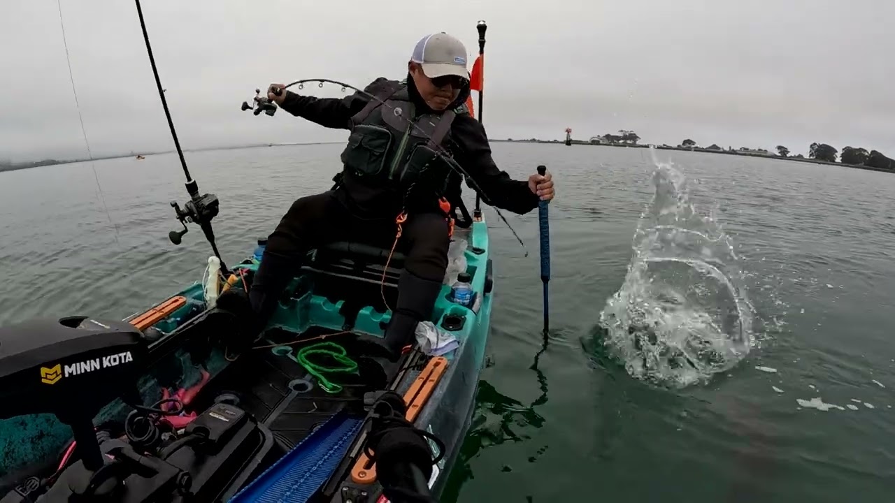 Humboldt Bay end of season Kayak Halibut fishing.