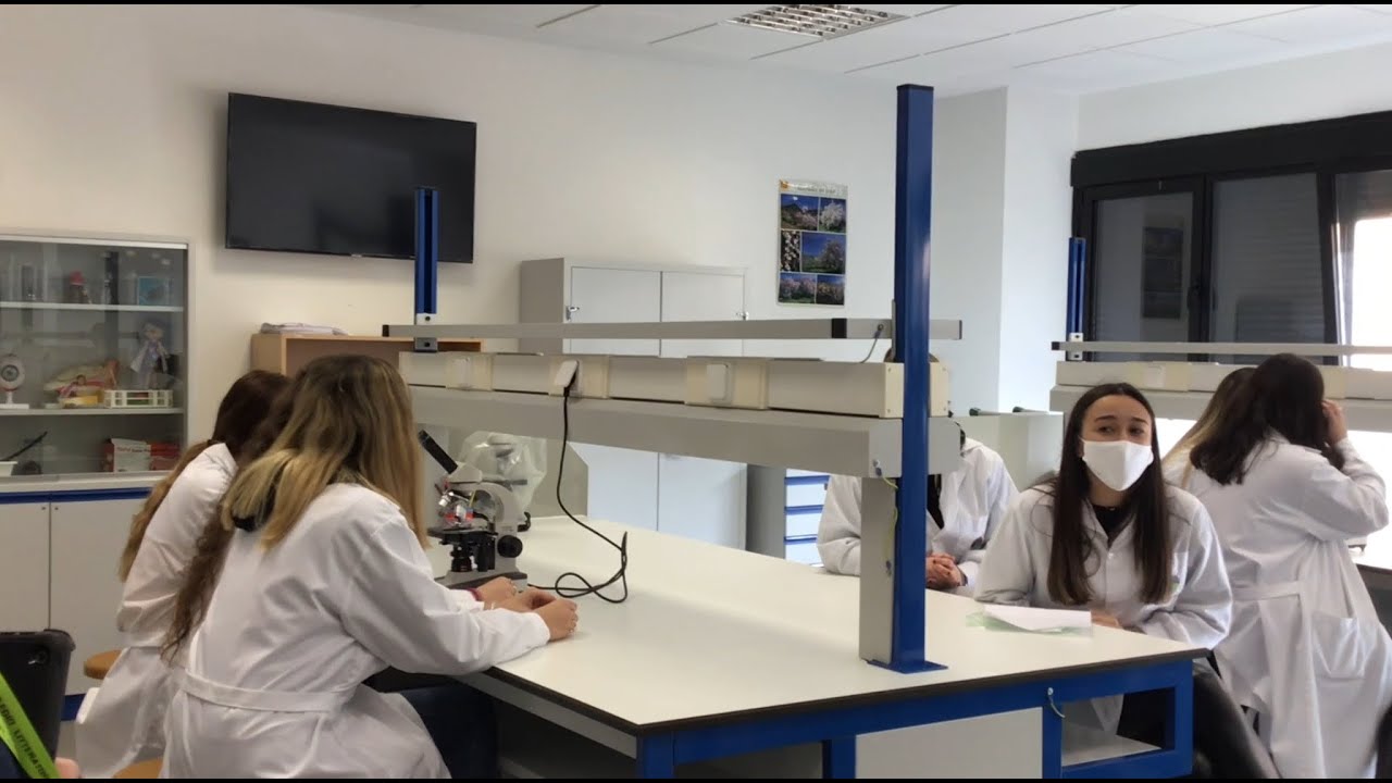 Littertubers. ¿Qué ciclos formativos tenemos en el colegio?