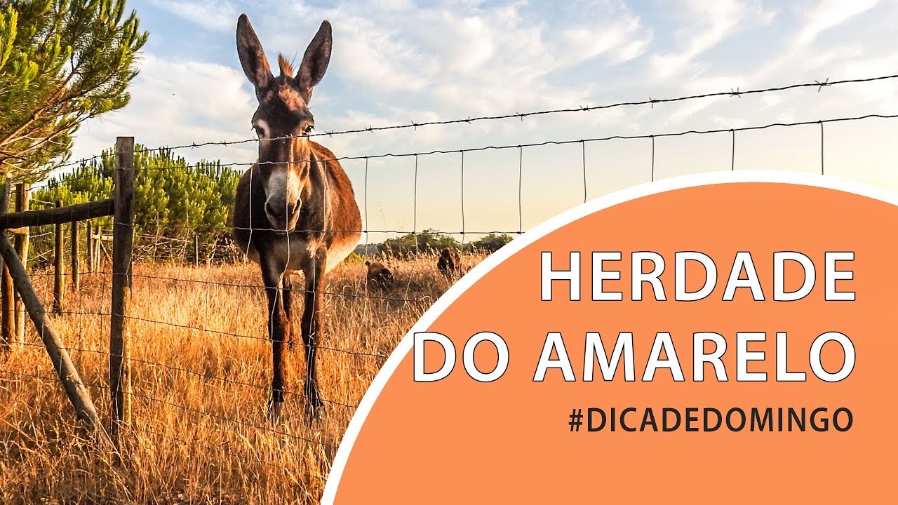 Ficámos na Herdade do Amarelo