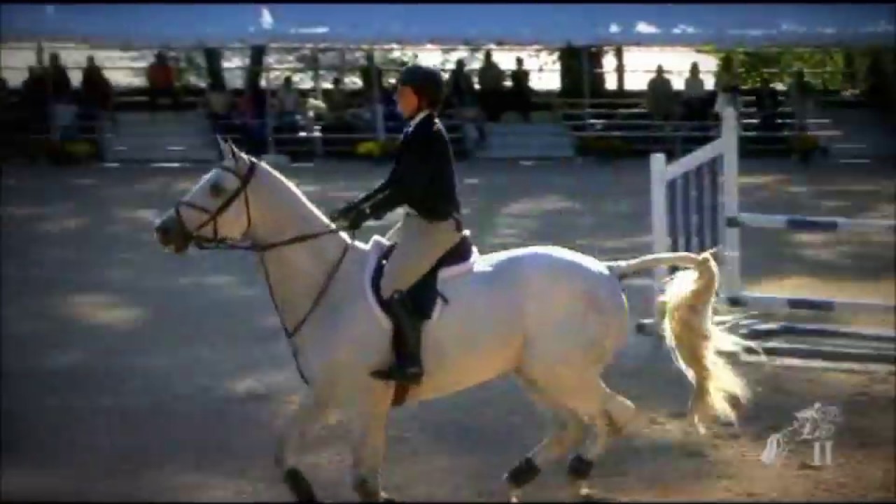 Corrado - Talent Search Finals