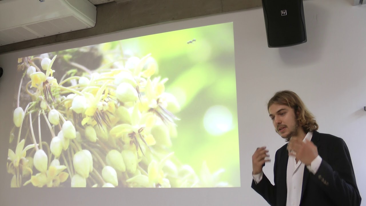 EURAF conference: Presenatation on Syntropic Agriculture