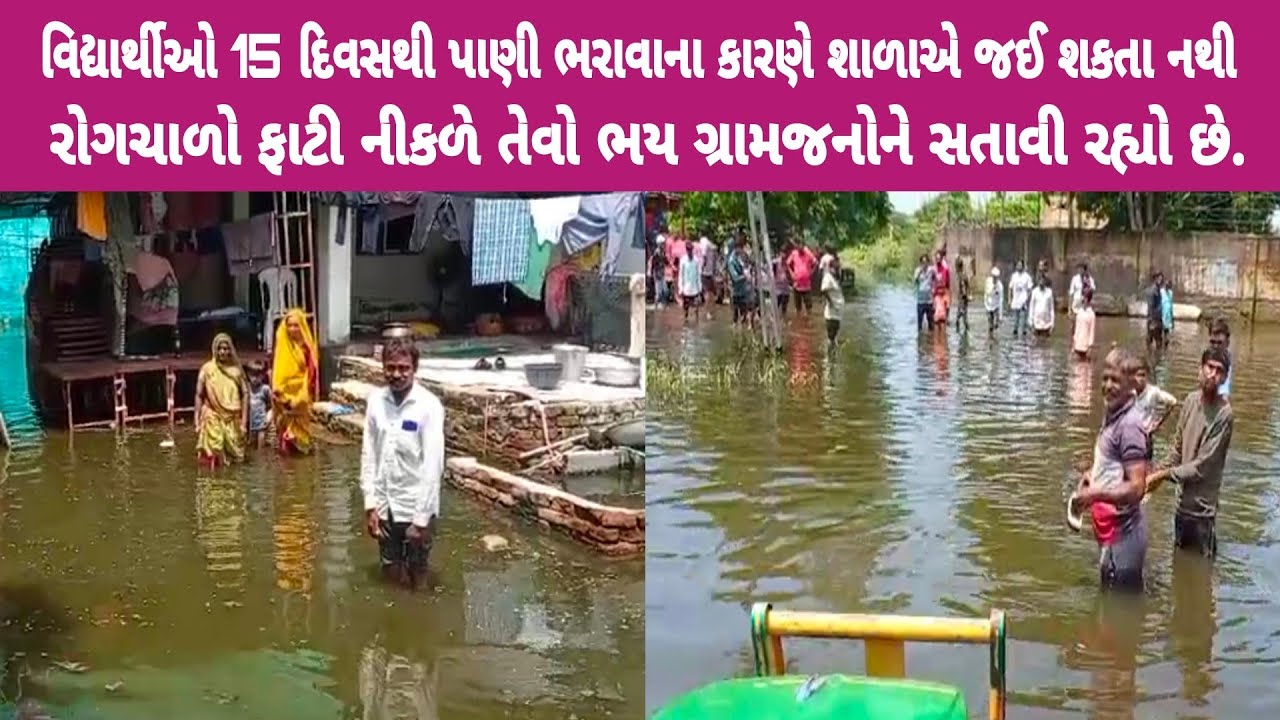 DHOLKA : જલાલપુર વજીફા ગામમાં છેલ્લા 15 દિવસથી વરસાદી પાણીનો નિકાલ નાં કરાતા ગ્રામજનો પરેશાન