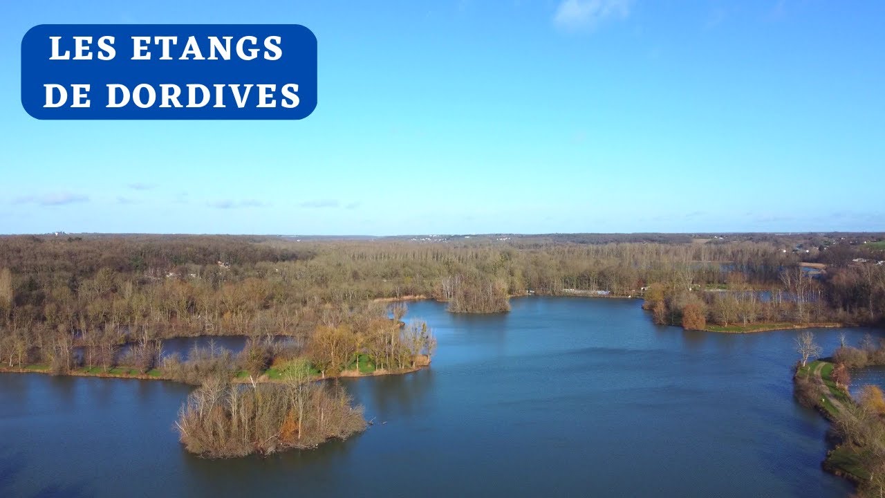 LES ETANGS DE DORDIVES , LOIRET