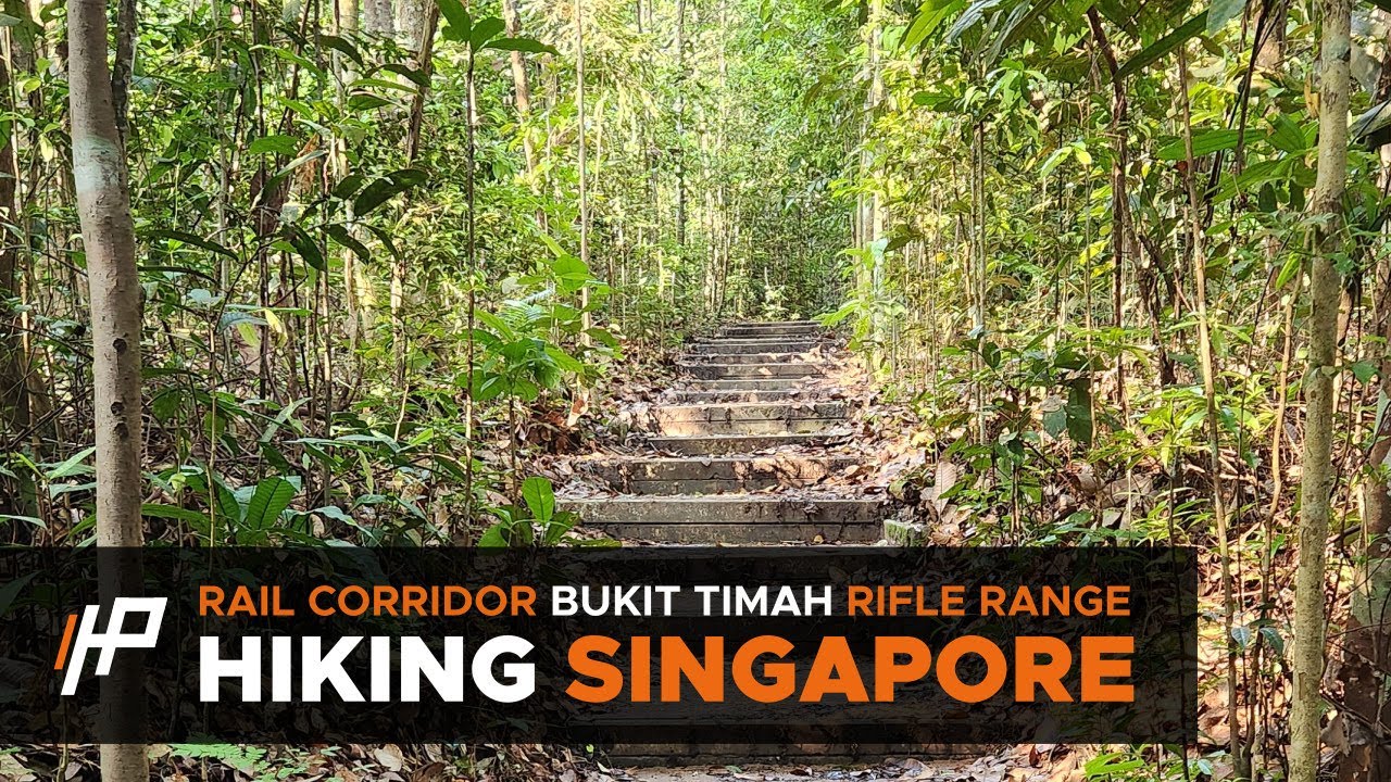 [Hiking Singapore] Rail Corridor, Bukit Timah Hill, Rifle Range Nature Park