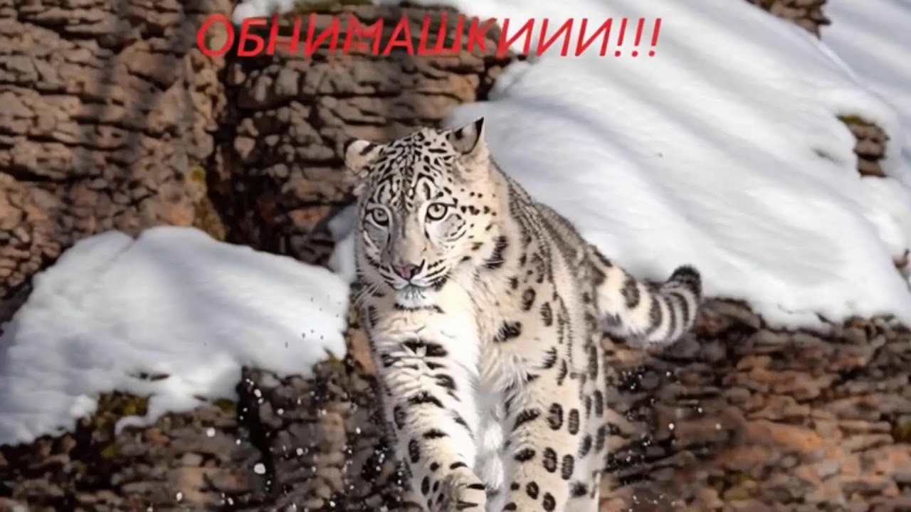 The Last Caretaker Нефтяная вышка)