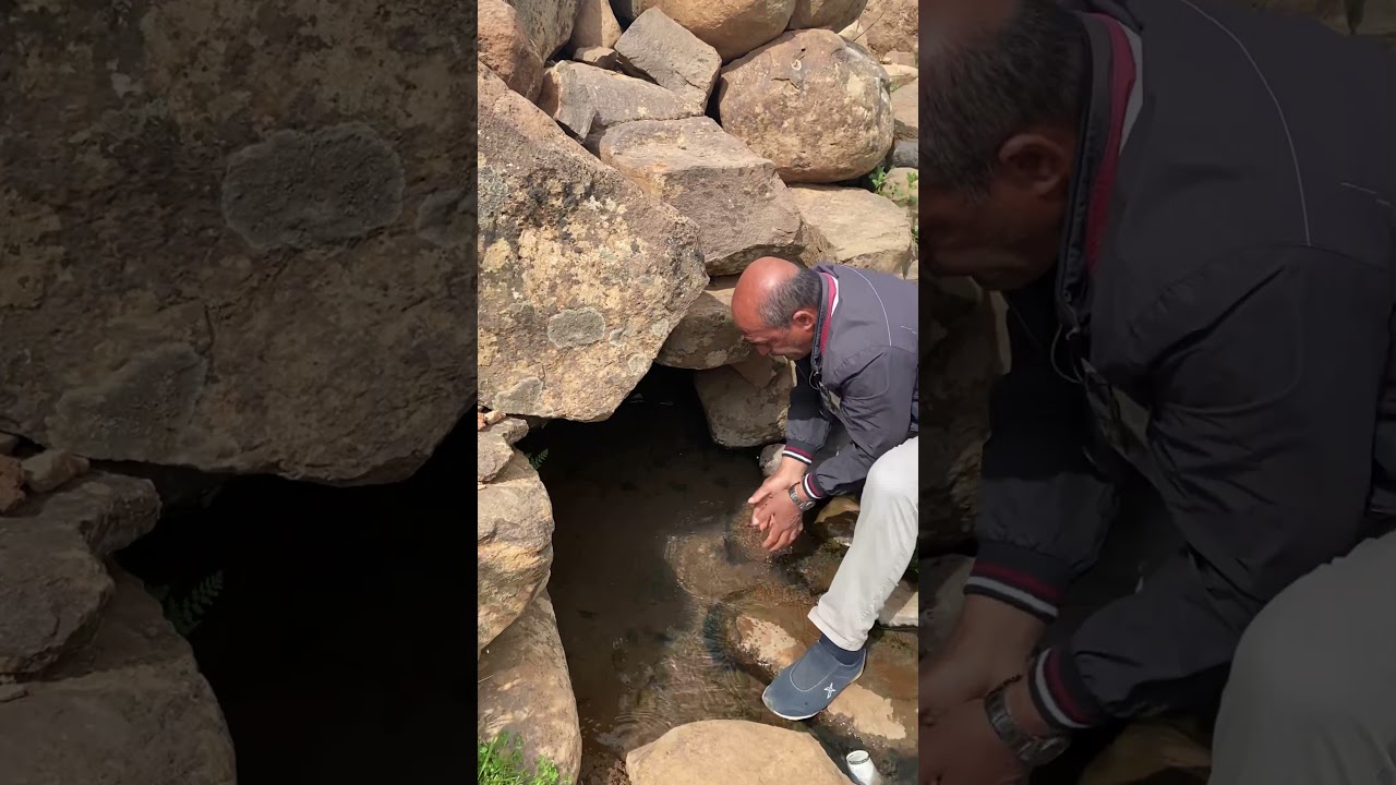 Kejkan kanıya aran