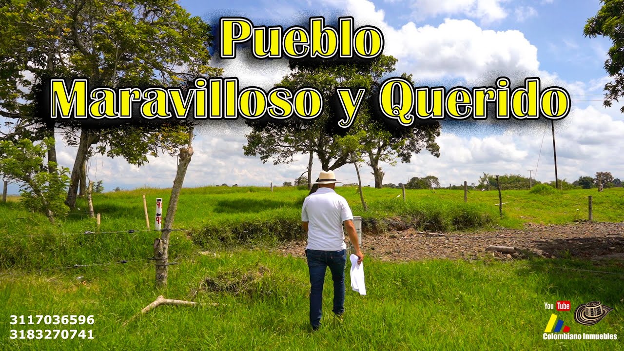 Lotes en Venta - Quimbaya Quindio🌄🌴🐦Con vista al Paisaje Cultural Cafetero📲3117036596 - 3183270741