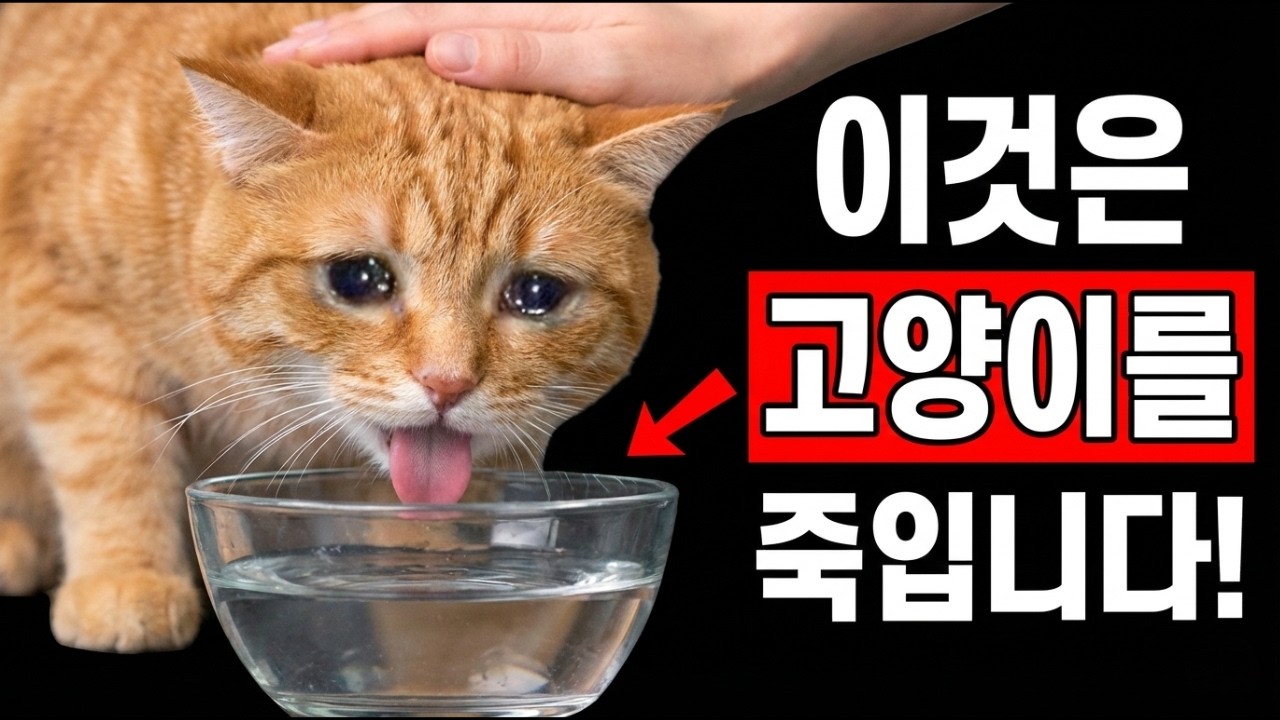 수의사들이 경고하는 고양이 식사의 치명적인 13가지 실수 (대부분의 집사들이 4번을 무시합니다)