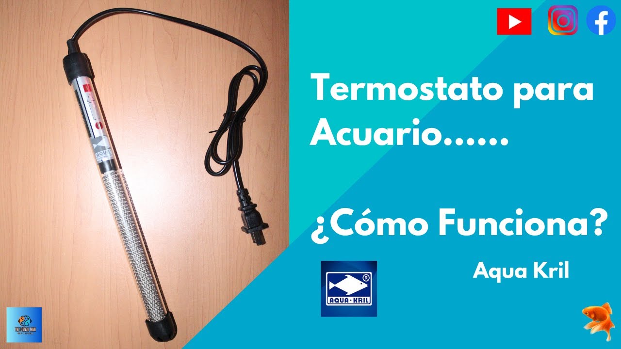 Termostato para acuario ¿Cómo Funciona? Aqua Kril