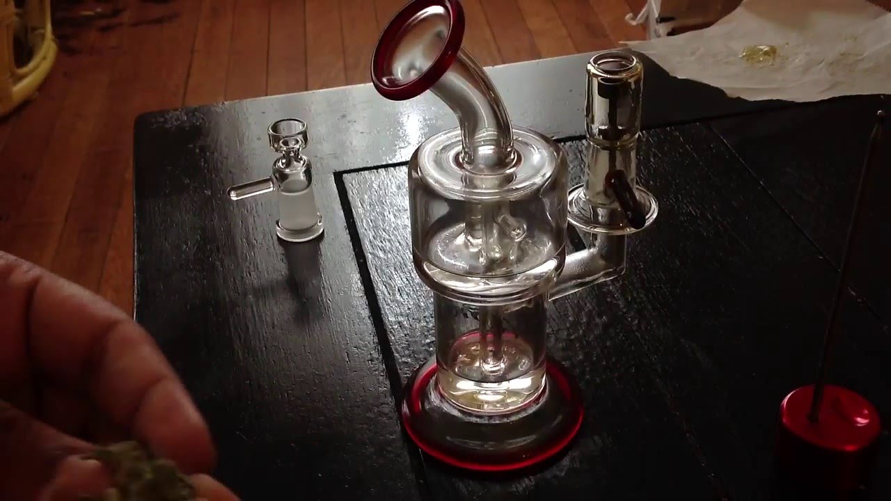Toro