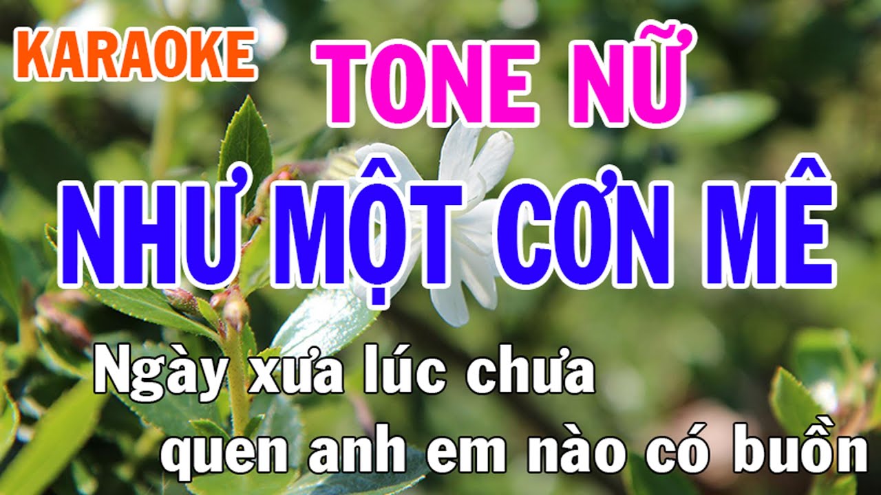 Như Một Cơn Mê Karaoke Tone Nữ Nhạc Sống - Phối Mới Dễ Hát - Nhật Nguyễn
