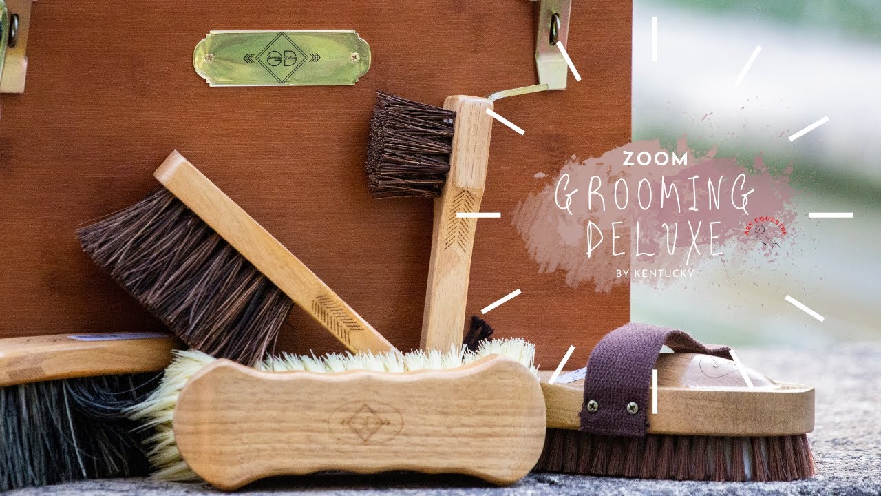 ZOOM : Grooming deluxe ✨