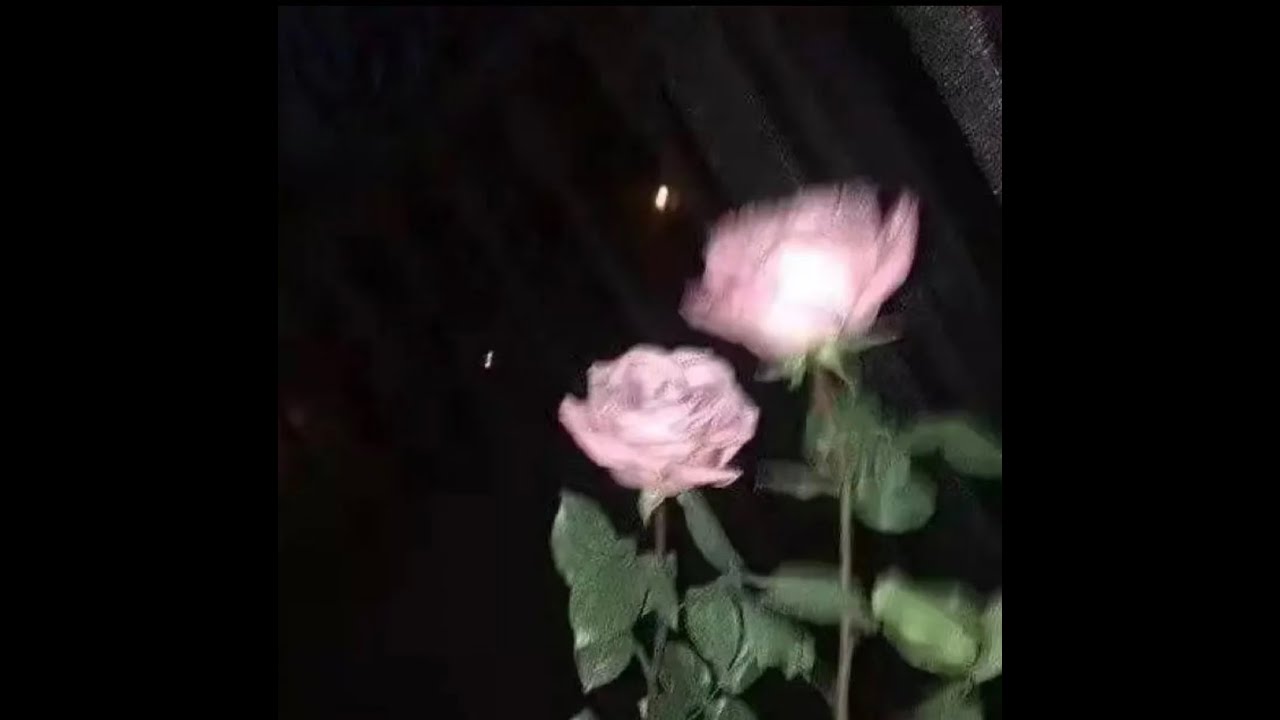 《跟悲伤结了账》– Gareth.T / 揽佬SKAI ISYOURGOD｜完整版中英歌词🤣这首歌给我的感觉就好像我失恋了揽佬在旁边笑我一样