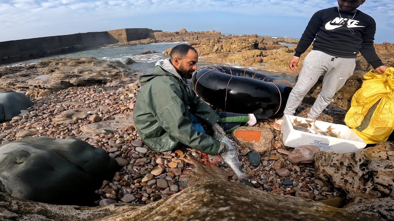 خرجنا نترزق الله وها الحصيلة غدين تشوفها تحية لجميع 🌊🌊🌊🌊🌊🌊🌊🌊🌊🌊😍😍😍