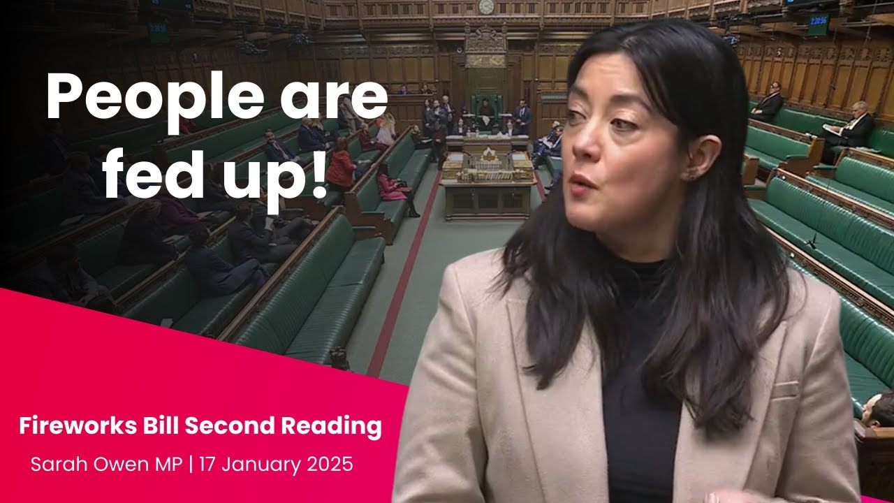 Fireworks Bill Second Reading | Sarah Owen MP